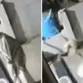 被猴子飛踢一腳　9旬老婦倒地身亡