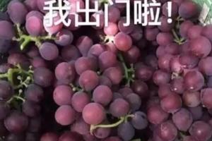 這個夏天有點熱，你的臉還能熬過去嗎？