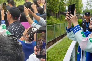 少女擠在人群中拍熊貓　一轉身竟是「43歲台灣天后」無人認出