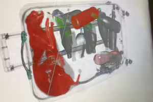 機場過行李「X光照見眼熟生物」　安檢員一開嚇壞