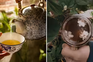 來台買好茶!日女「剩最後一罐捨不得喝」 台人熱心找到老闆 來台買好茶!日女「剩最後一罐捨不得喝」 台人熱心找到老闆