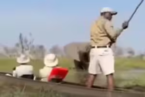 大象暴走「猛衝觀光船」！遊客遭象鼻壓入水中　驚悚畫面全被拍下