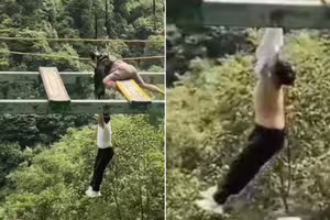 走高空吊橋突墜落！父撲空「只抓住衣服」崩潰痛哭　10歲童情況曝