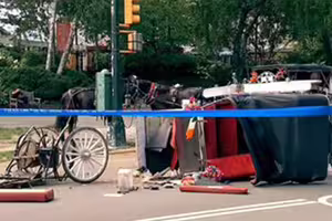 馬車失控狂奔　少年為救母身亡