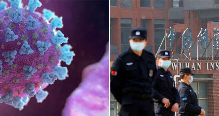 武漢實驗室「發現新病毒」　又是蝙蝠傳人！專家揭大流行機率