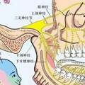 三叉神經痛苦不堪言，原因？怎麼應對呢？