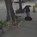 人孔蓋變陷阱！女子慘瞬間墜落下水道