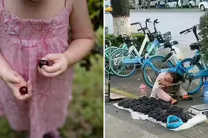 8歲女童路邊賣葡萄沒人買 哽咽「我沒爸媽」…大叔一聽整攤包下 8歲女童路邊賣葡萄沒人買 哽咽「我沒爸媽」…大叔一聽整攤包下