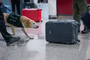 出國帶知名零食回台「一包恐噴3萬」　檢疫署：最高罰100萬