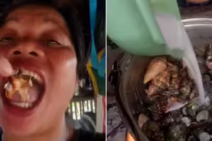 網紅挑戰吃「魔鬼蟹」全身抽搐 搶救兩天身亡 網紅挑戰吃「魔鬼蟹」全身抽搐 搶救兩天身亡