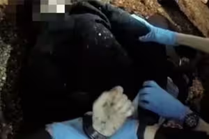 遭刺穿心臟!男大生狂喊「我不能呼吸」 警不信堅持上銬逮捕後斷氣 遭刺穿心臟!男大生狂喊「我不能呼吸」 警不信堅持上銬逮捕後斷氣