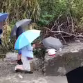 親友盼奇蹟！救溺勇消張敬謙仍未脫險境