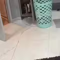 挑戰「7秒找出狗狗」　網看超久眼花：只看到打火機