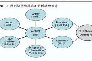 ANTI∙DF原則對糖尿病足防治的指導作用