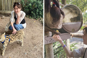 參觀動物園…網紅驚揭「門票6萬」只看30分鐘　高價真相曝