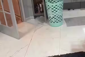 挑戰「7秒找出狗狗」　網看超久眼花：只看到打火機