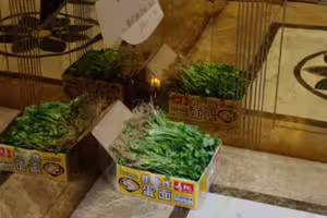 鄰居在電梯大方分享「老家種的香菜」　他問：該拿嗎？網一看秒搖頭