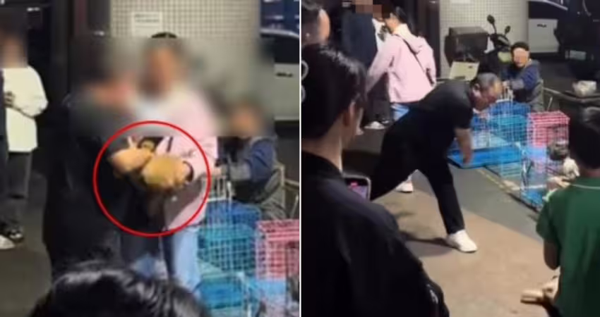 夜市買狗反悔！店家不肯退貨　中國男竟當場將幼犬「活活摔死」