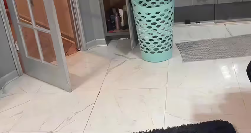 挑戰「7秒找出狗狗」　網看超久眼花：只看到打火機