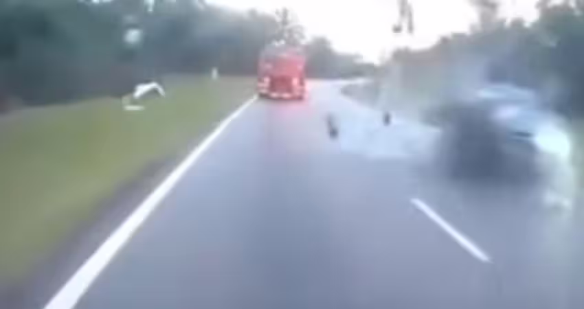 疑超車未遂！30歲騎士撞車被拋飛