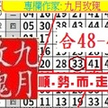 【九月玫瑰】11月17日順勢而走..分享~✿