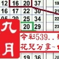 【九月玫瑰】12月07日今彩539..獨支..花兒分享..~✿