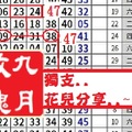 【九月玫瑰】12月15日獨支..花兒分享..~✿