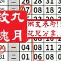 【九月玫瑰】「今彩539」02月06日 兩支參考!!花兒分享..~✿