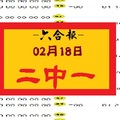 【六合報】「六合彩」02月18日 二中一參考