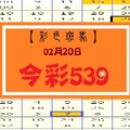 【彩色斑馬】「今彩539」02月20日 單支獨享版!!