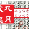 【九月玫瑰】「六合彩」02月07日 兩支參考!!花兒分享..~✿