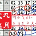 【九月玫瑰】「六合彩」04月01日 叫小賀pk1~兩朵花參考~✿