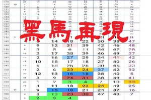 【一五八】12月06日黑馬再現~順勢而行