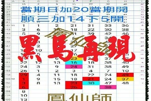 【一五八】12月06日黑馬再現~機會加幸運=成功 鳳仙師。