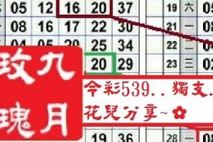 【九月玫瑰】12月07日今彩539..獨支..花兒分享..~✿