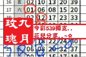 【九月玫瑰】12月27日今彩539獨支..花兒分享..~✿