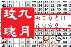 【九月玫瑰】「六合彩」02月07日 兩支參考!!花兒分享..~✿