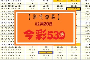 【彩色斑馬】「今彩539」02月20日 單支獨享版!!