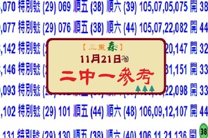 靜謐之森~三重森2017六合彩歲末公益貼文11/21 (NO:3)二中一參考~