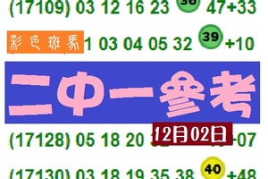 彩色斑馬 六合公益插花~8二中一參考!!12月02日