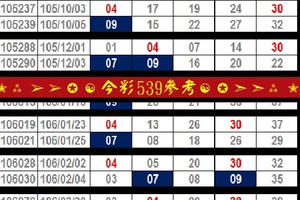 刺五加2017♡今彩539參考♡12月11日精彩再戰