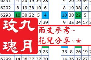 今彩539九月玫瑰好康報~12月18日兩支參考花兒特調~