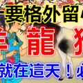 2月6日，正月初十！生肖羊，龍，猴要格外留意了！翻身就在這一天！ 