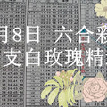 9月8日 六合彩 獨支白玫瑰精選