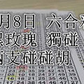 9月8日 六合彩精選 黑玫瑰 獨碰兩支碰碰胡 