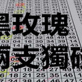 9月15日 六合彩 黑玫瑰 兩支獨碰