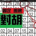 11月15日 六合彩 對對胡 二支獨碰 定點不定位 ~ 雙碰