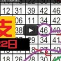 11月22日 六合彩 不定位 定點 加減碼 獨支