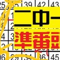 12月8日 六合彩 準番頭 ~ 二中一 準15個月 獨碰專車獨支