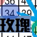 12月13日 六合彩 黑玫瑰 獨支對對碰 ~ 專車碰碰車